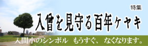 特集 入曽を見守る百年ケヤキ